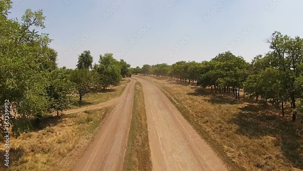 Bad country road, sandy road with trees on the sides and cars Bad country road, sandy road with trees on the sides and cars