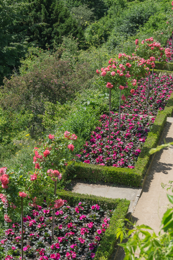 Beautifully landscaped paths on the slope, with flower beds and roses