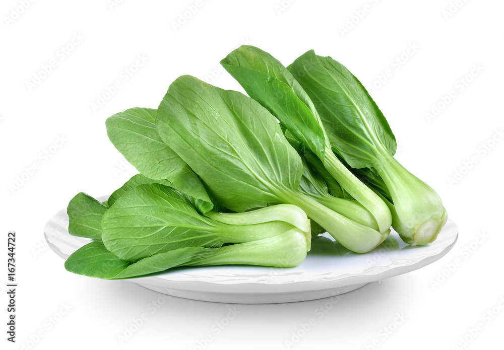 Bok choy vegetable in plate on white background Bok choy vegetable in plate on white background