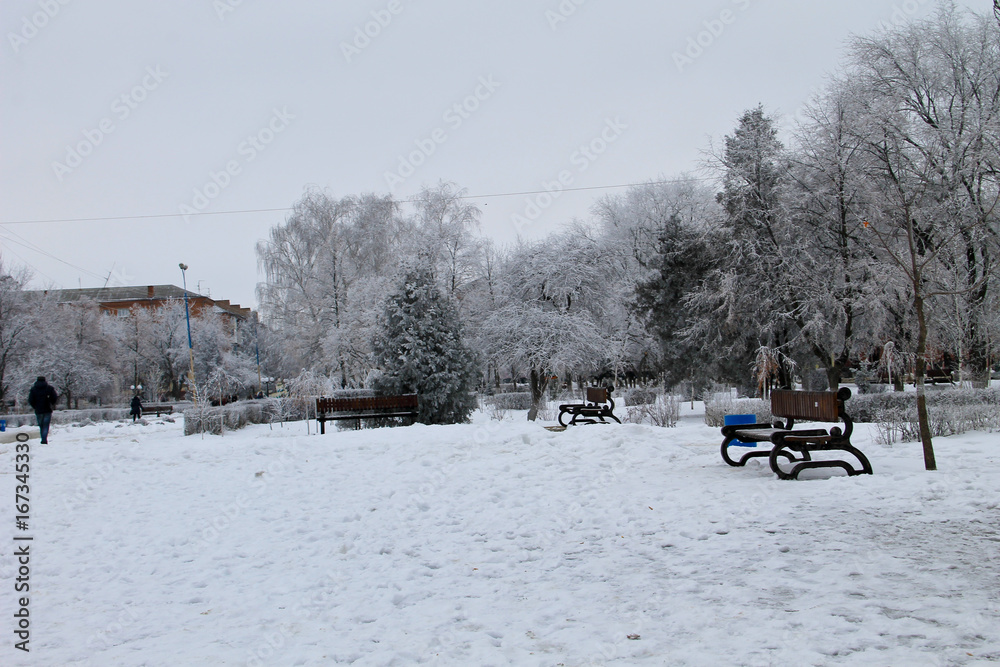 Winter landscape in the city park Winter landscape in the city park