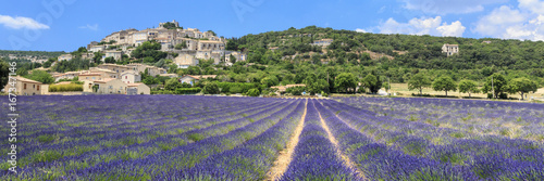 Lavender field and Simiane la rotonde village in Provence France photo