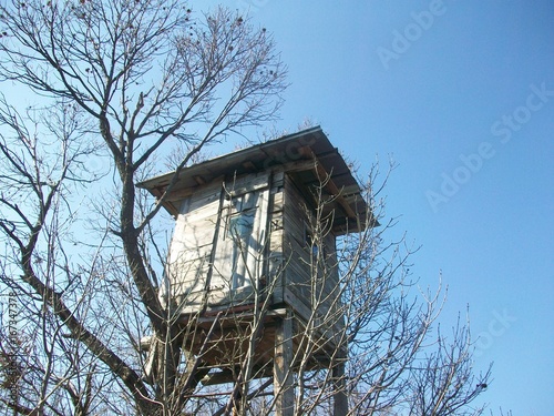 piccola vedetta in legno sugli alberi in Slovenia