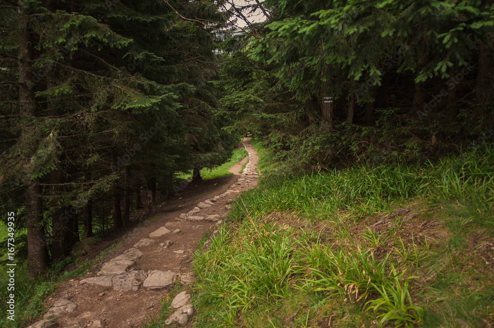 Tatry, Zakopane, Mountains, Poland