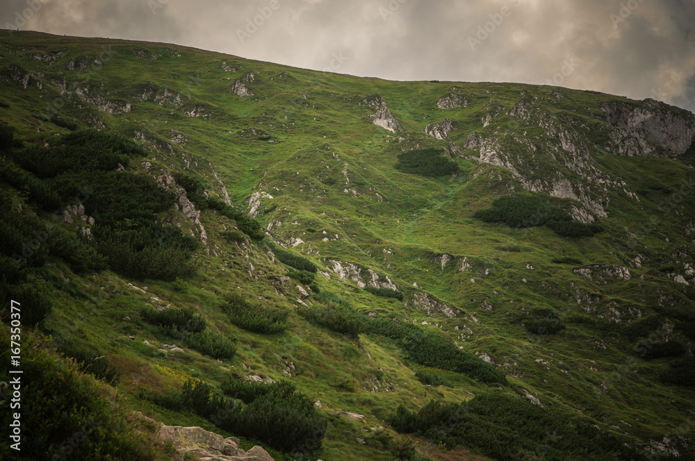 Tatry, Zakopane, Mountains, Poland