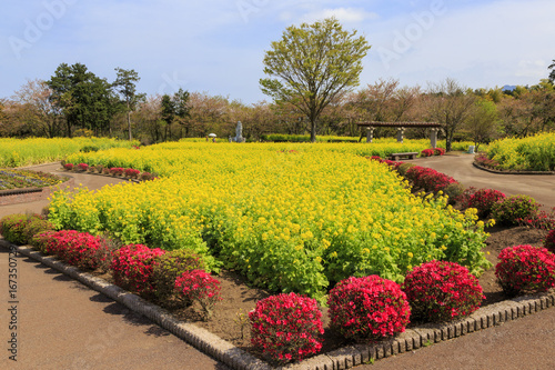 Flowers in Shimabara garden, Japan