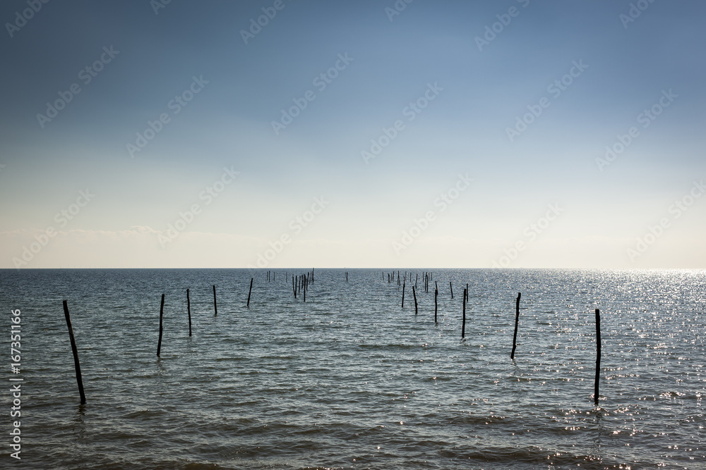 Seascape Seascape