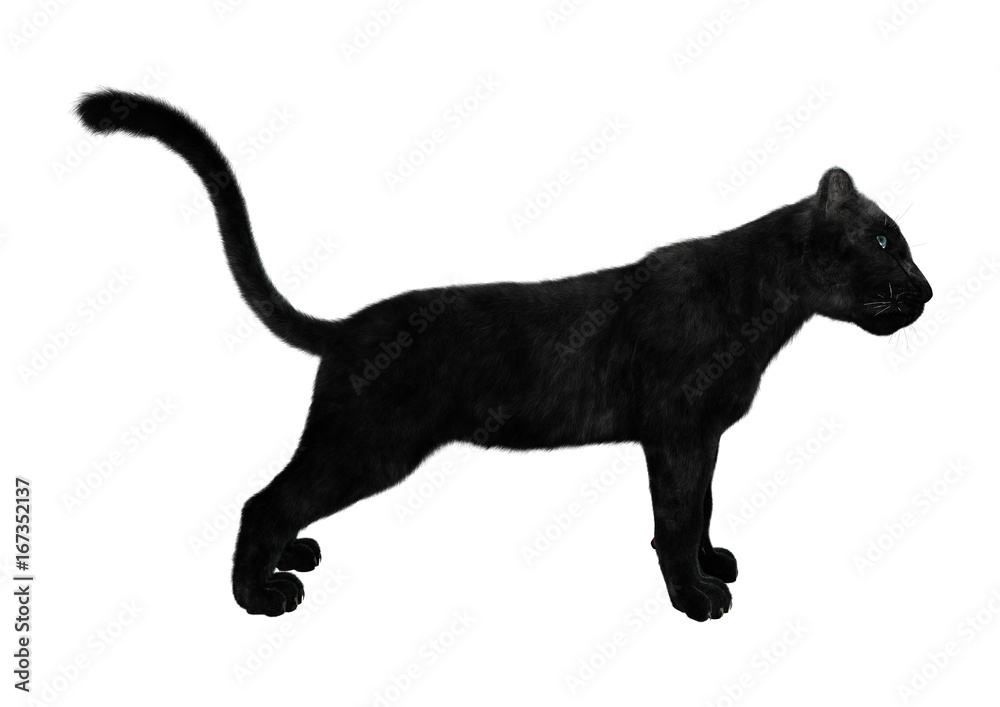 3D Rendering Black Panther on White 3D Rendering Black Panther on White
