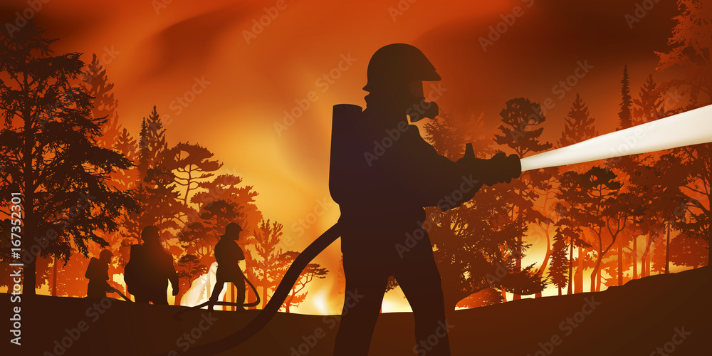 Fototapeta premium pompiers - incendie - feu de forêt - catastrophe