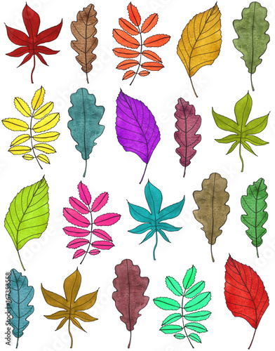 Autumn leaves in watercolor © khalaziy