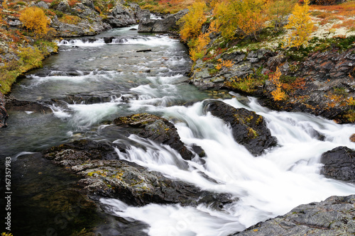 Wildfluss Driva im Herbst, Dovrefjell, Norwegen