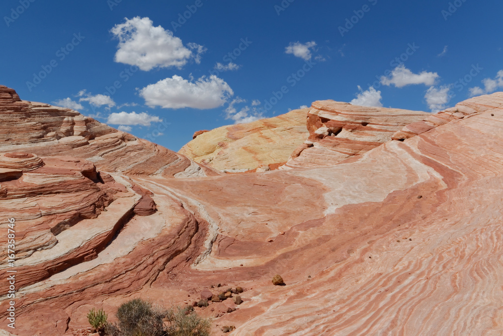 Fototapeta premium Valley Of Fire State Park