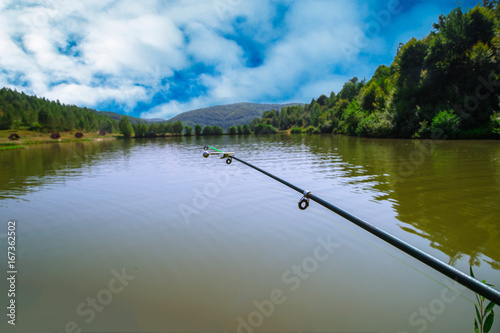 Fisherman Bird on the background Lake Mountain Forest