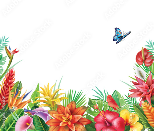 Frame from tropical flowers
