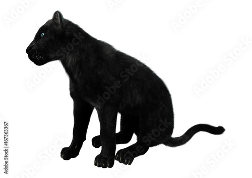 3D Rendering Black Panther on White