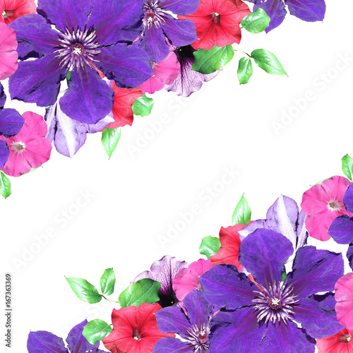Beautiful floral background of petunias and clematis 