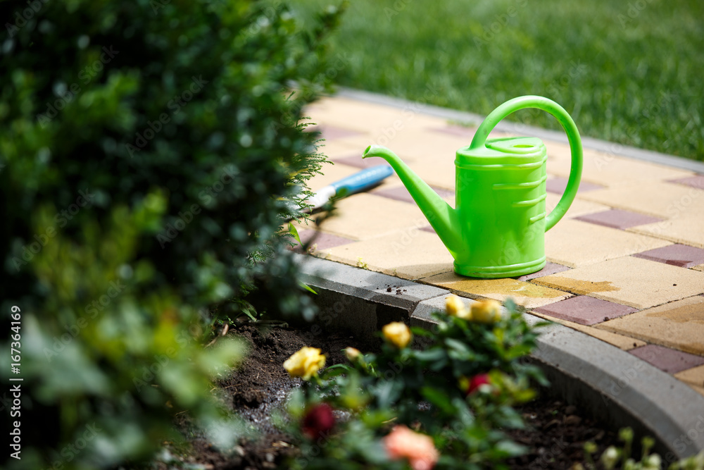 Green plastic water can close up photo near the flowerbed. Green plastic water can close up photo near the flowerbed.