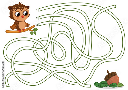 Cartoon Owl Character In The Maze Game. Vector illustration.