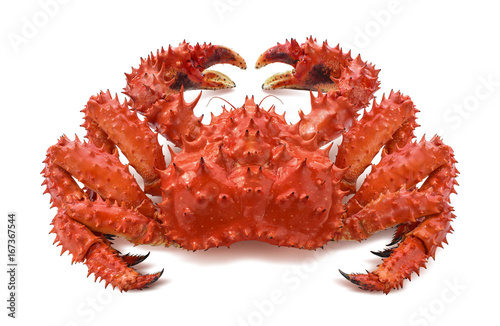 Red brown king crab 2 isolated on white background