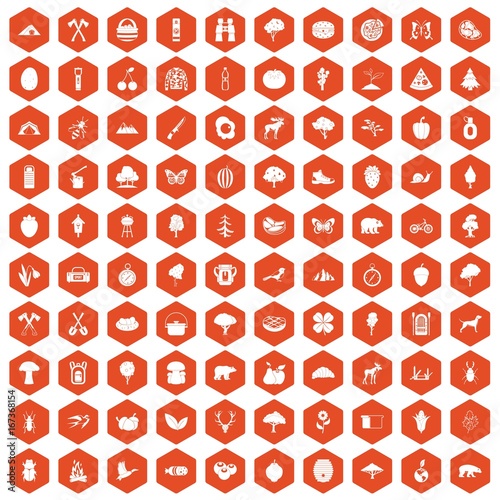 100 camping and nature icons hexagon orange