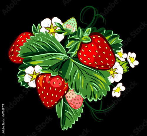 Juicy strawberries on bush with leaves and flowers