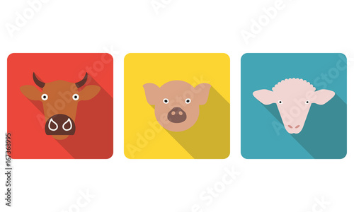 Farm animals set. Cow, pig and sheep head or face icons in flat style. Colorful vector illustration.