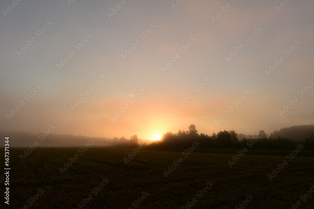 Sunrise over a clear summer early morning field Sunrise over a clear summer early morning field