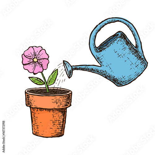 Potted flower and watering can. Gardening and farming sketch illustration. Vector
