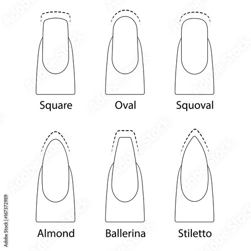 Nail manicure, set of nails shapes - oval, square, almond, stiletto, ballerina squoval Vector