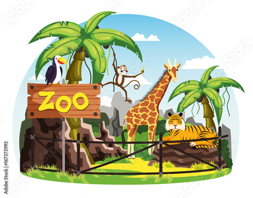 Giraffe and monkey, tiger and toucan at zoo