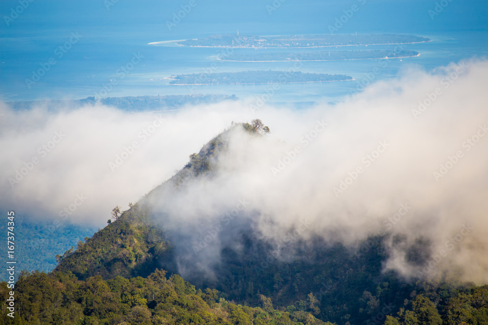 Forested mountain slope in low lying cloud in mist in a scenic landscape view.