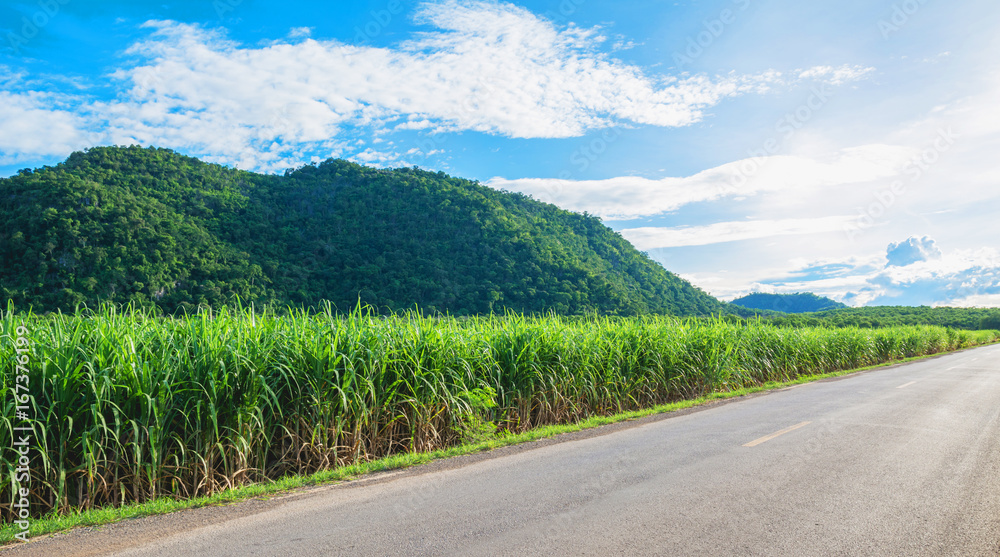 Beautiful mountain with road. Mountains with green plant and blue sky landscape in Thailand.