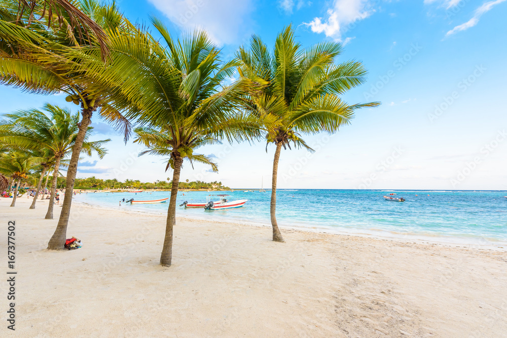 Beautiful white sand beach in Akumal, Mexico - paradise bay Beach in Quintana Roo - caribbean coast - late afternoon and sunset at Riviera Maya