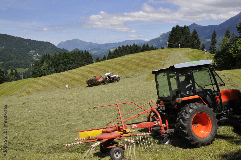 Obraz premium heuernte im kleinwalsertal