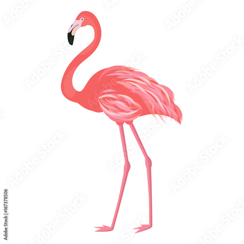 Vector illustration pink flamingo. Exotic bird. Cool flamingo decorative flat design element. Lovely flamingo © alexeyevajulia