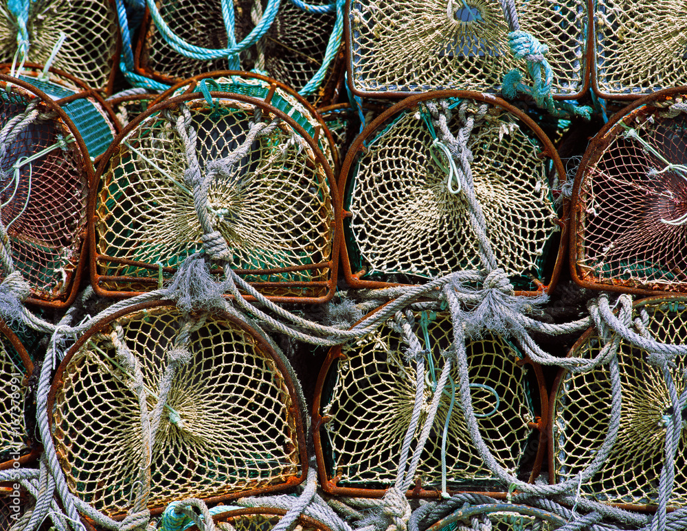 Fishing Fishing