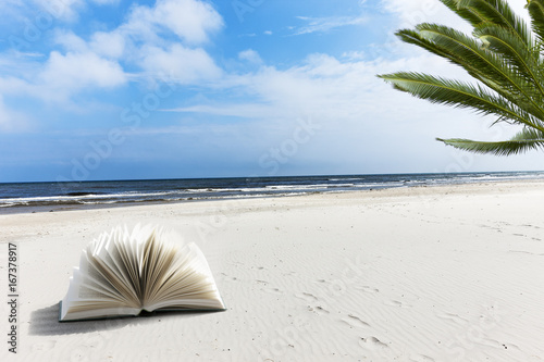 Buch am Strand