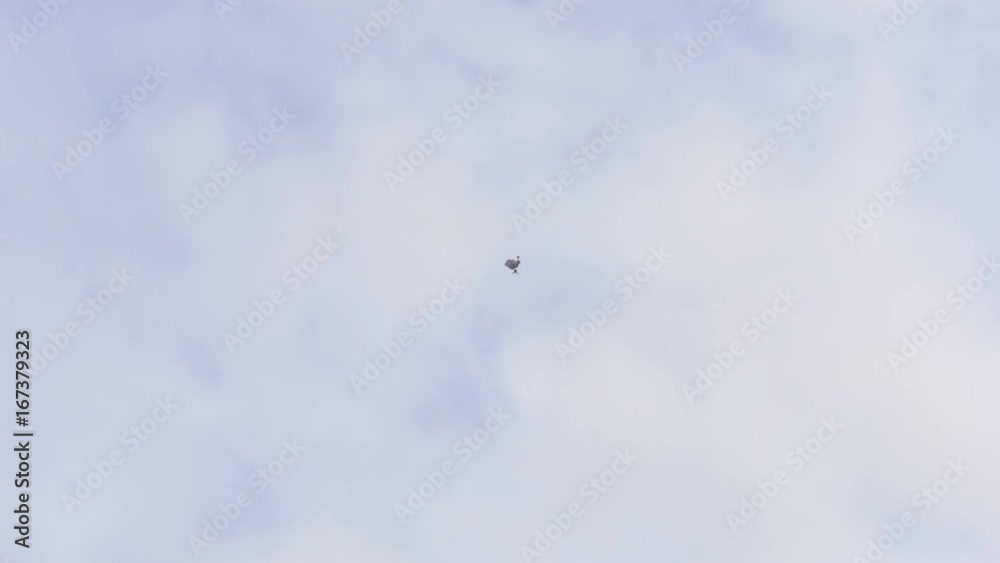 The paratrooper opened the parachute - slowmotion 60fps The paratrooper opened the parachute - slowmotion 60fps