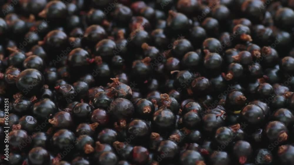Blackurrants in bowl Blackurrants in bowl