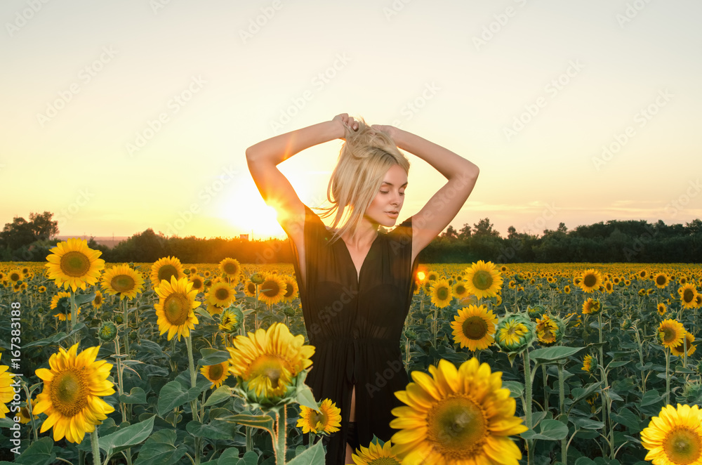 Beautiful young blonde model in black dress on a field of sunflowers Beautiful young blonde model in black dress on a field of sunflowers
