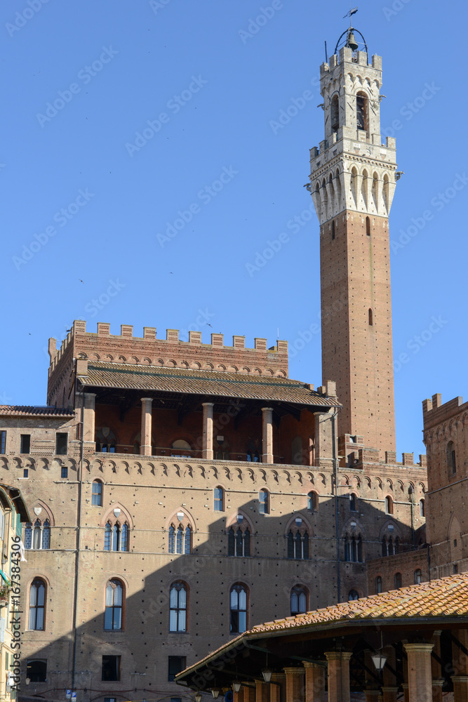 Market square and Mangia tower at Siena, Italy