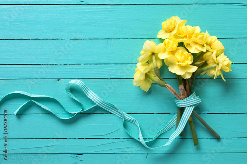 Fototapeta Naklejka Na Ścianę i Meble -  Yellow narcissus or daffodil flowers on turquoise wooden background.