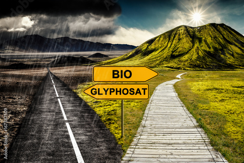 BIO oder GLYPHOSAT? photo