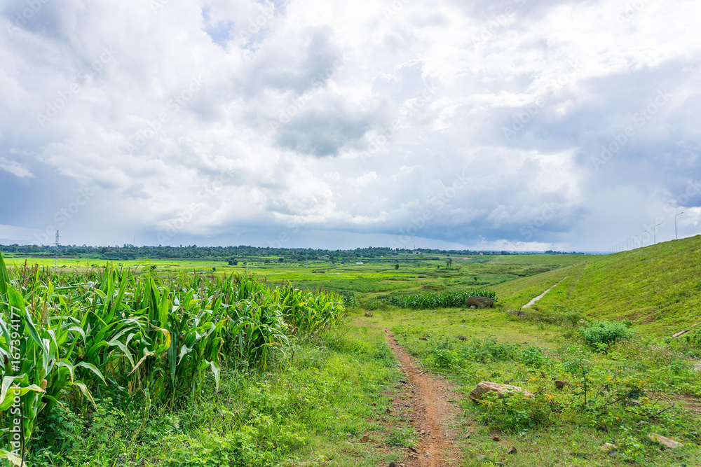 Fototapeta premium Road to valley