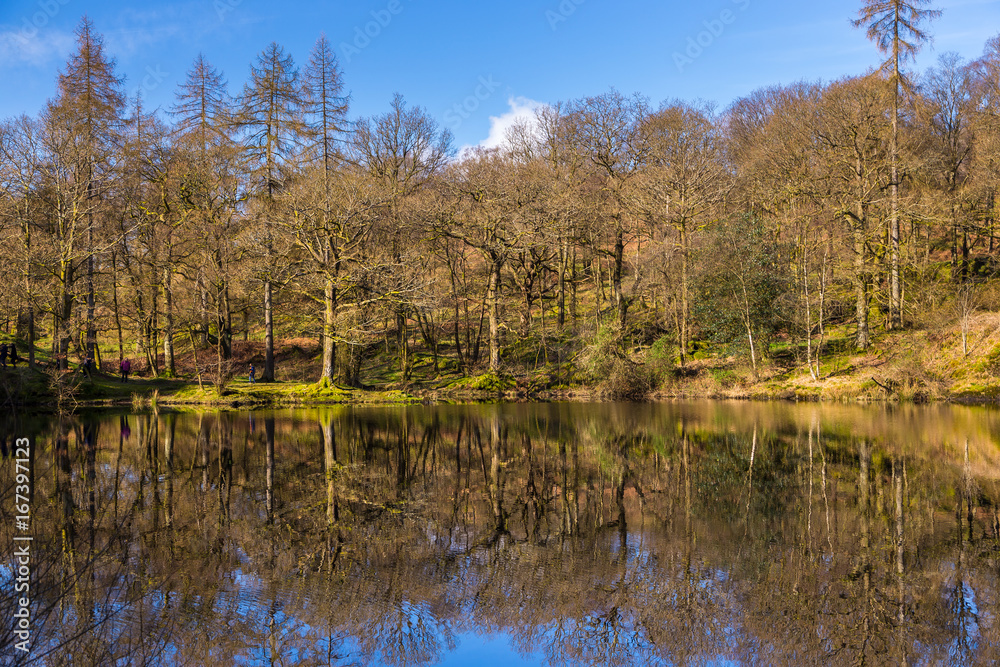 Yew Tree Tarn, small lake in the English Lake District situated in between the towns of Ambleside and Coniston, Cumbria, England. Yew Tree Tarn, small lake in the English Lake District situated in between the towns of Ambleside and Coniston, Cumbria, England.