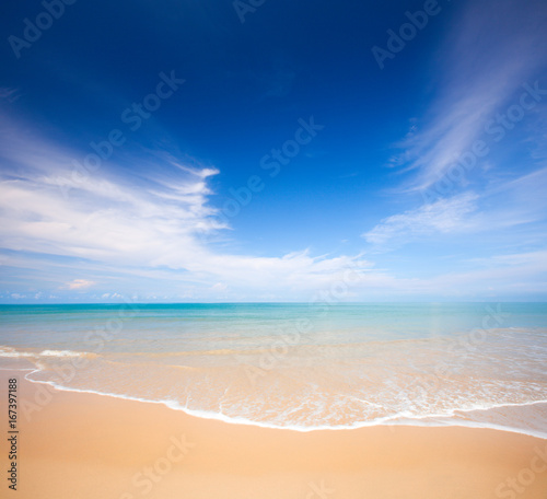 beach and tropical sea