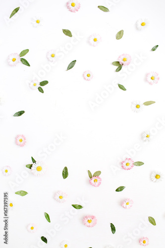 Fototapeta Naklejka Na Ścianę i Meble -  Floral frame made of white and pink chamomile daisy flowers, green leaves on white background. Flat lay, top view. Daisy background. Frame of flower buds.