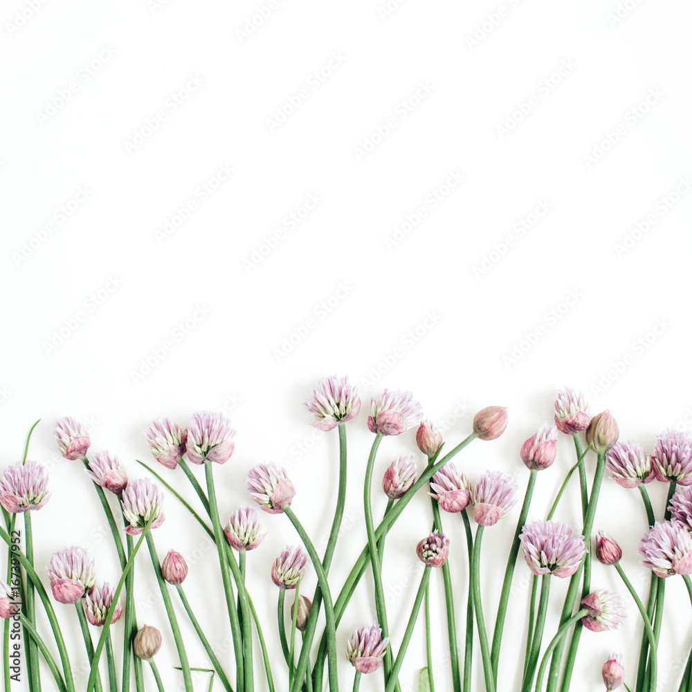 Floral pattern with wild flower, green leaves, branches on white background. Flat lay, top view. Valentine's background Floral pattern with wild flower, green leaves, branches on white background. Flat lay, top view. Valentine's background
