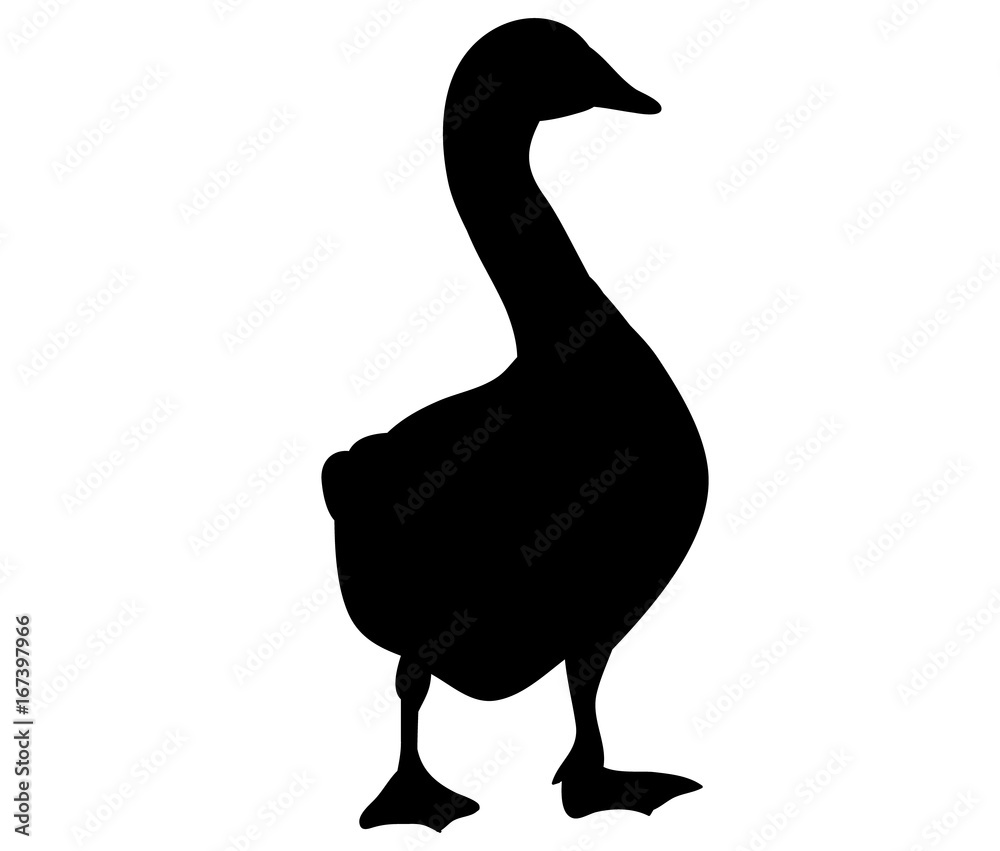 silhouette goose