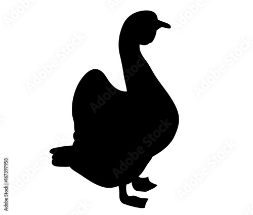 isolated silhouette goose