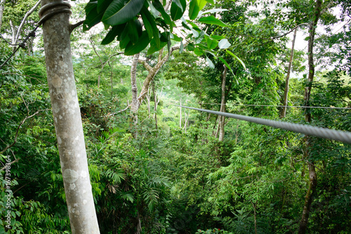 Ziplining 